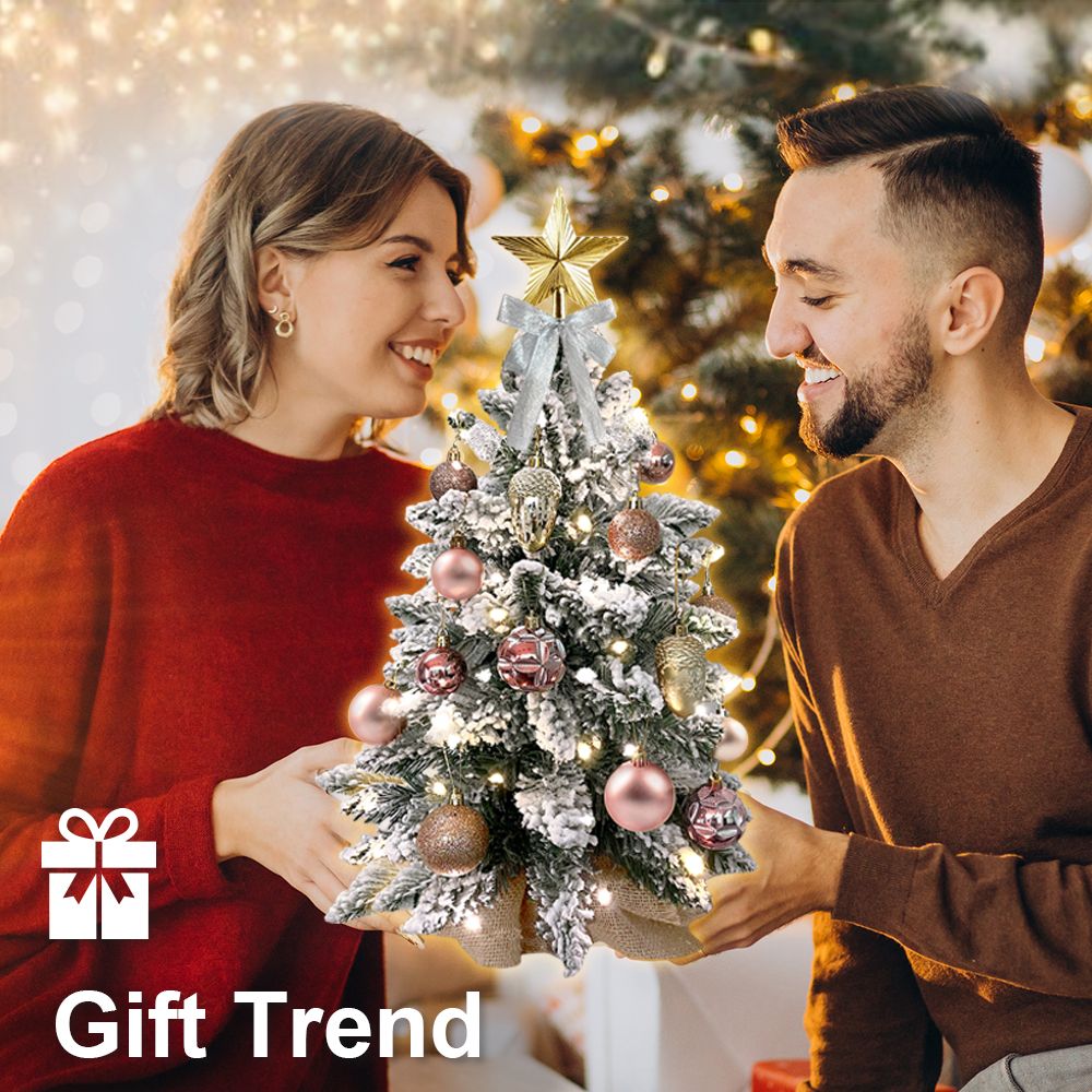 Couple holding a 22 inch artificial Christmas tree silver decorated with ornaments and a star topper