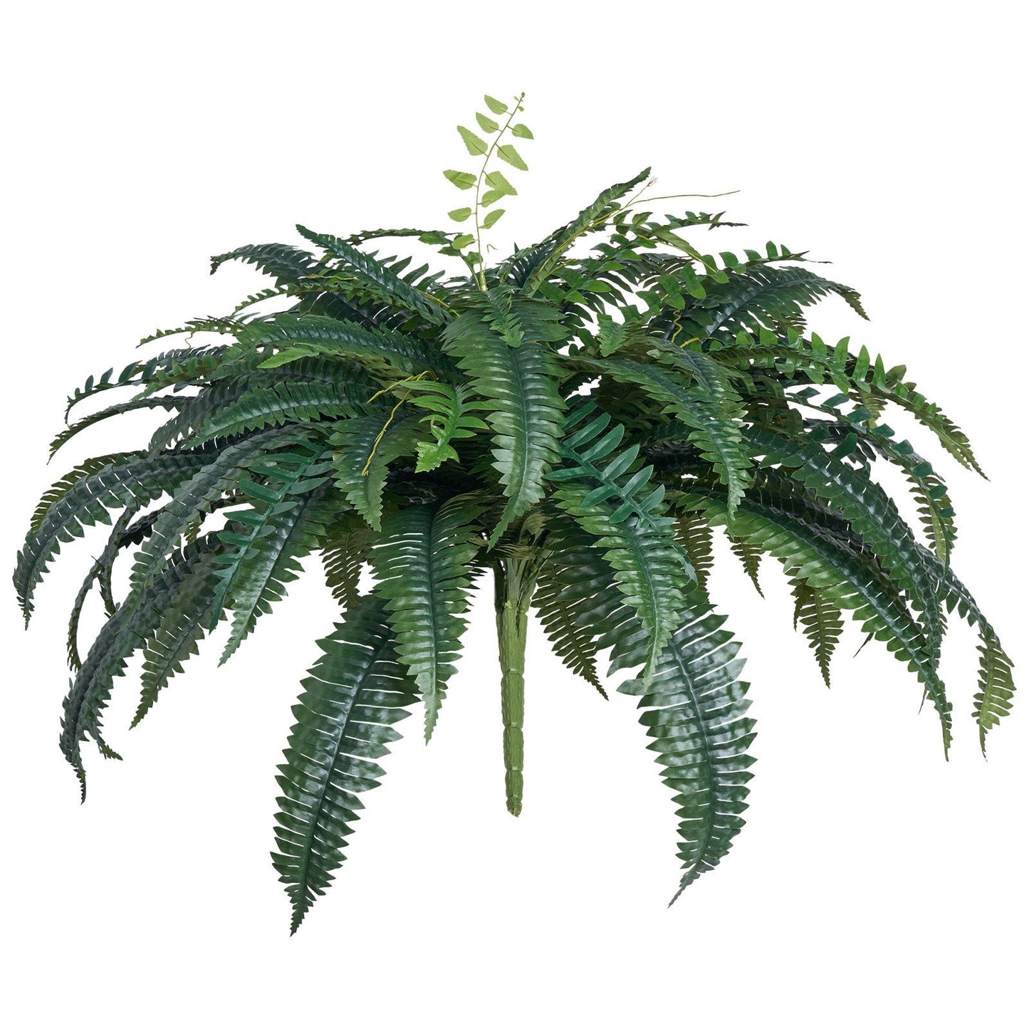 Lush green artificial Boston fern plant with detailed leaves for home and office decor
