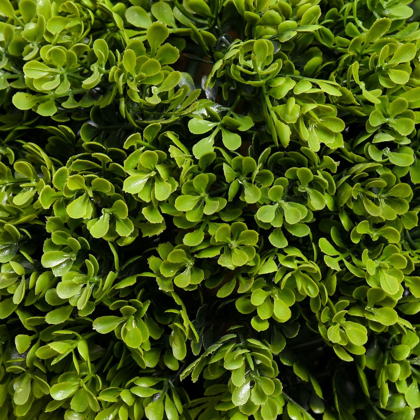 Lush artificial boxwood topiary balls for vibrant indoor or outdoor decor