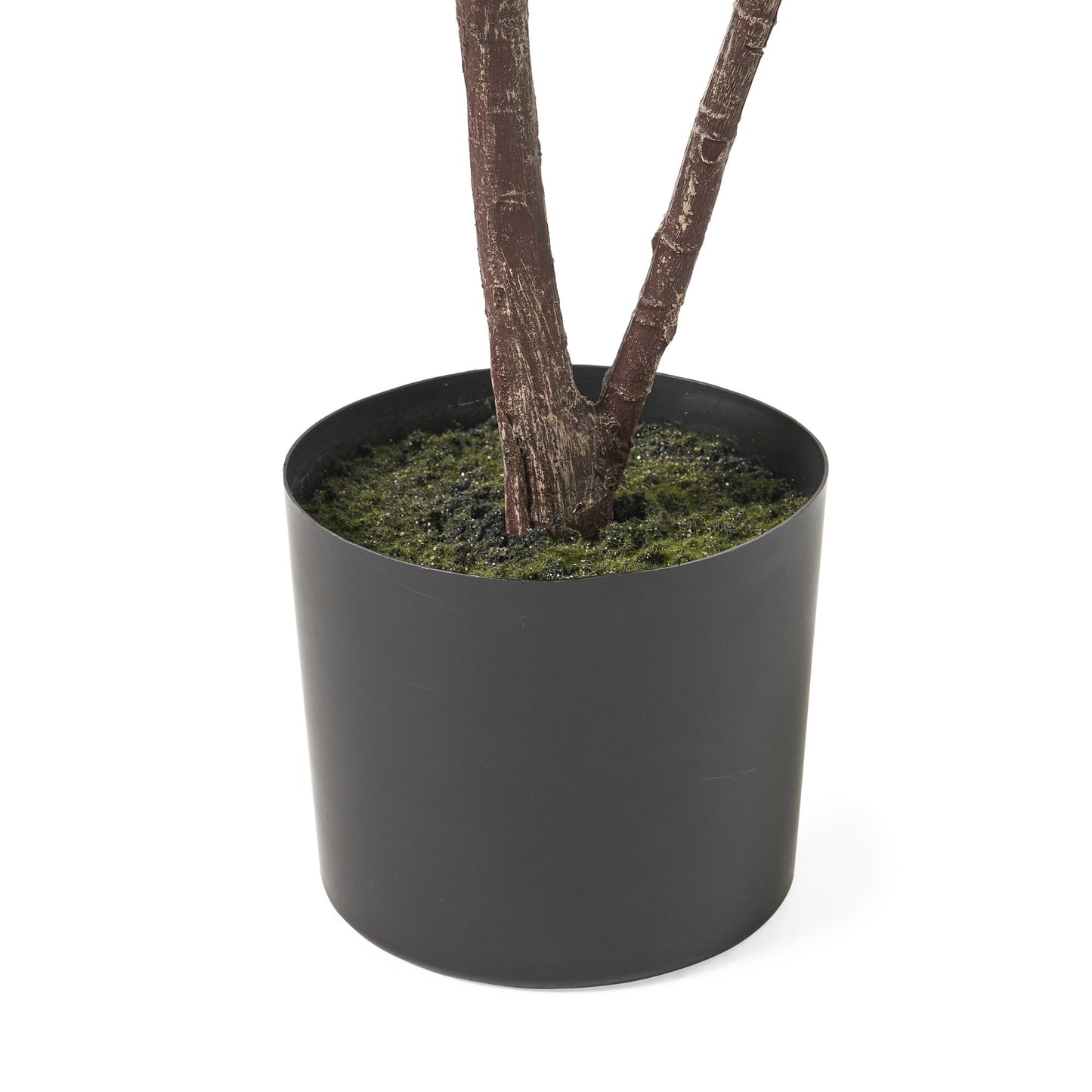 Close-up of artificial fiddle leaf fig tree base with brown trunk and green moss in black pot