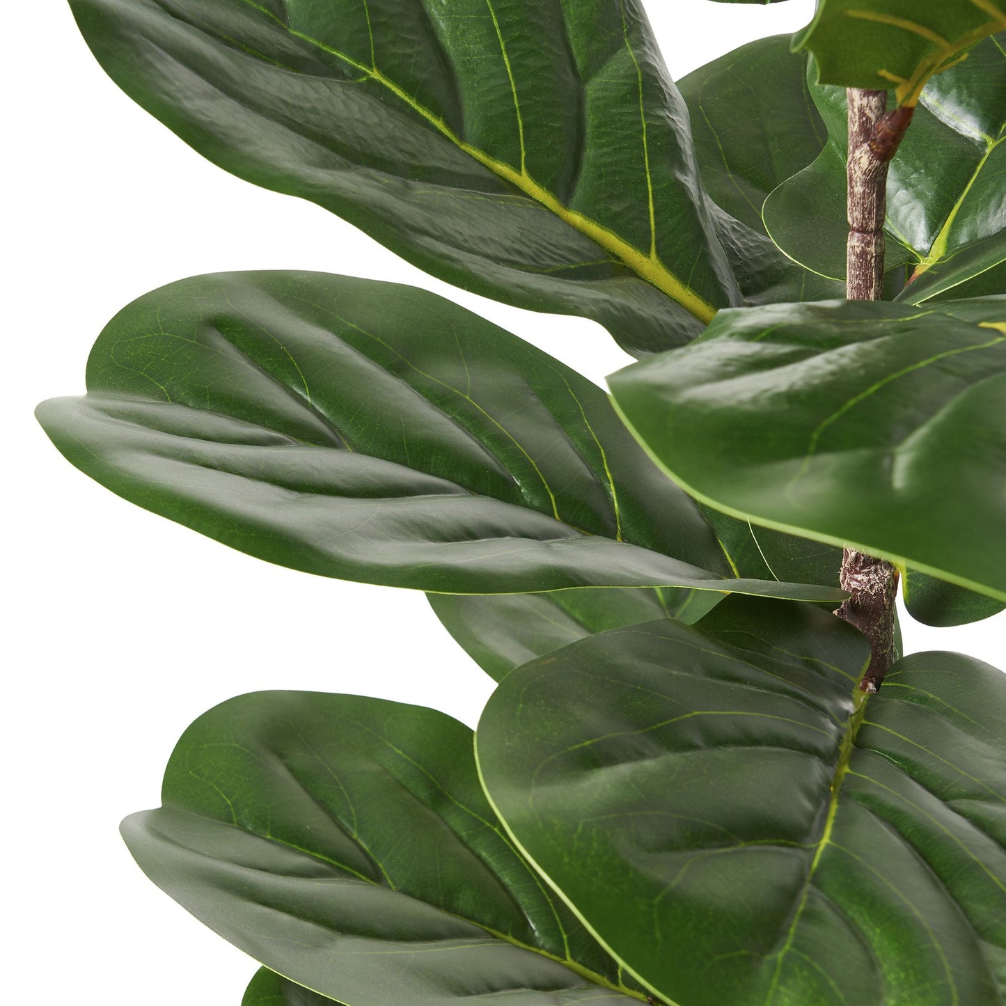 Close-up of green leaves on an artificial fiddle leaf fig tree from FauxMart.com