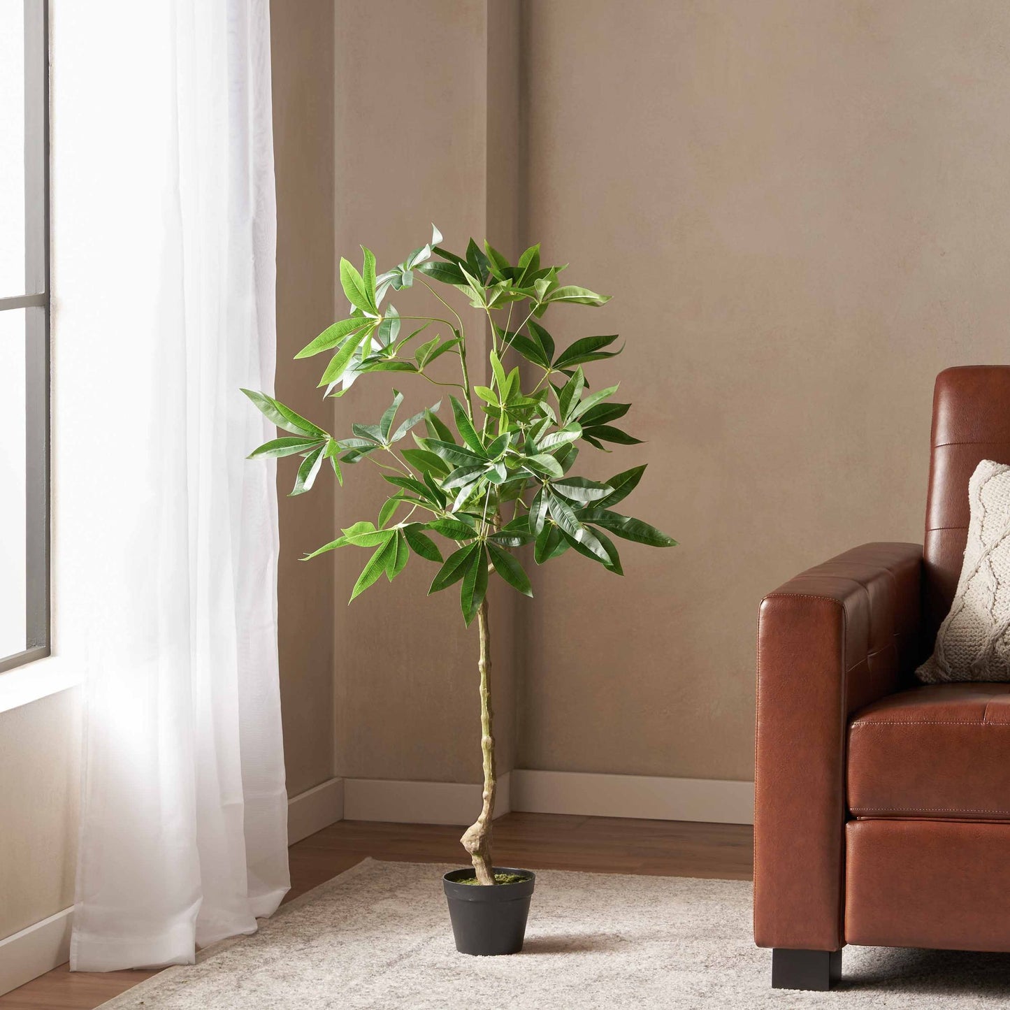 Artificial money tree 47 inch in a modern living room next to a cozy brown couch