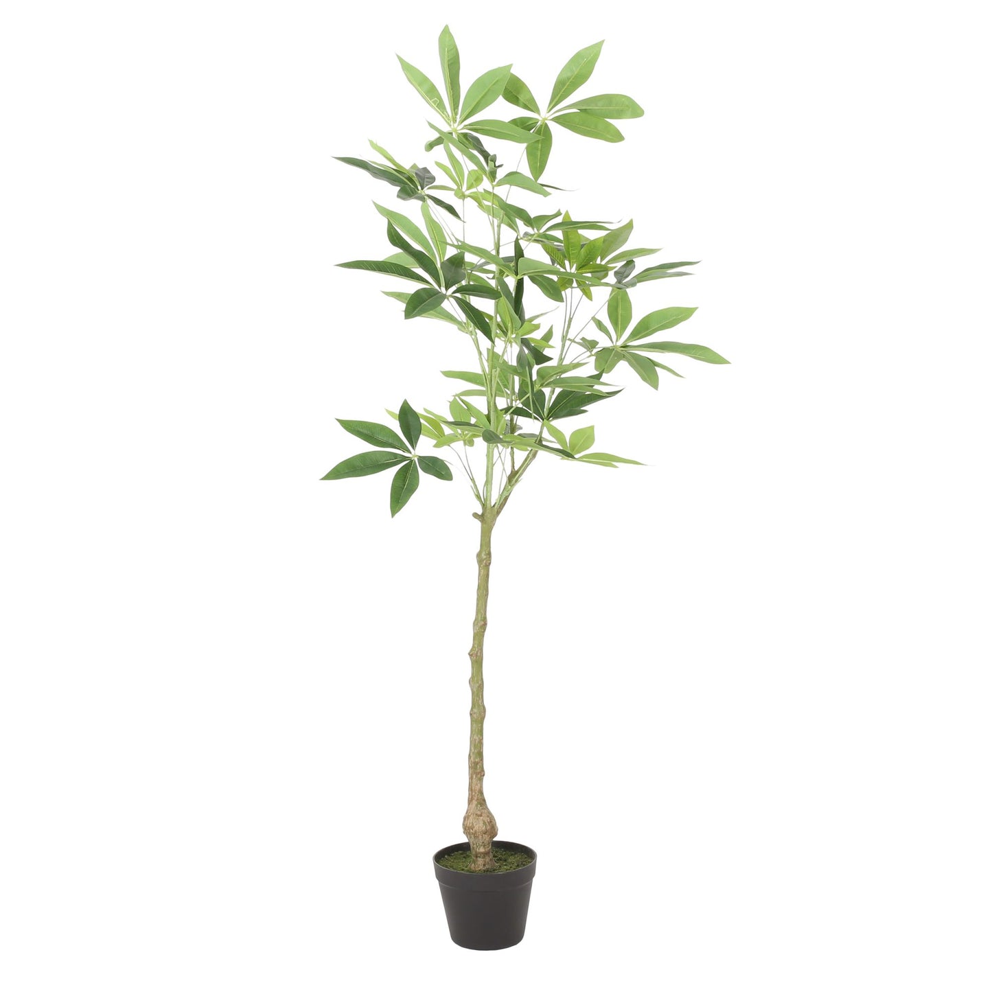 Lifelike artificial money tree plant in a black pot for home decor and indoor greenery