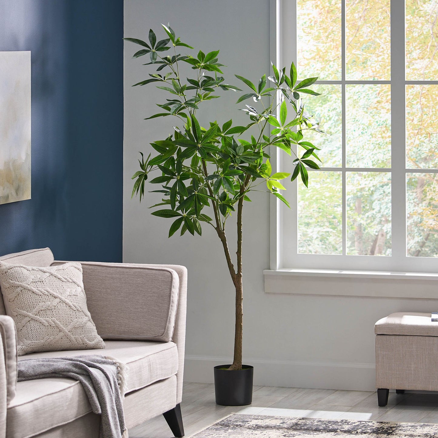 Artificial pachira money tree in black pot next to beige sofa in bright living room