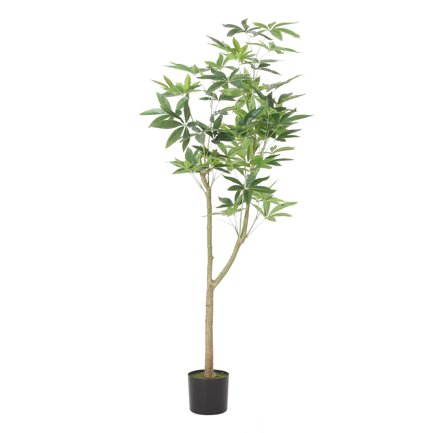 Artificial pachira money tree in black pot with realistic green leaves for home decor