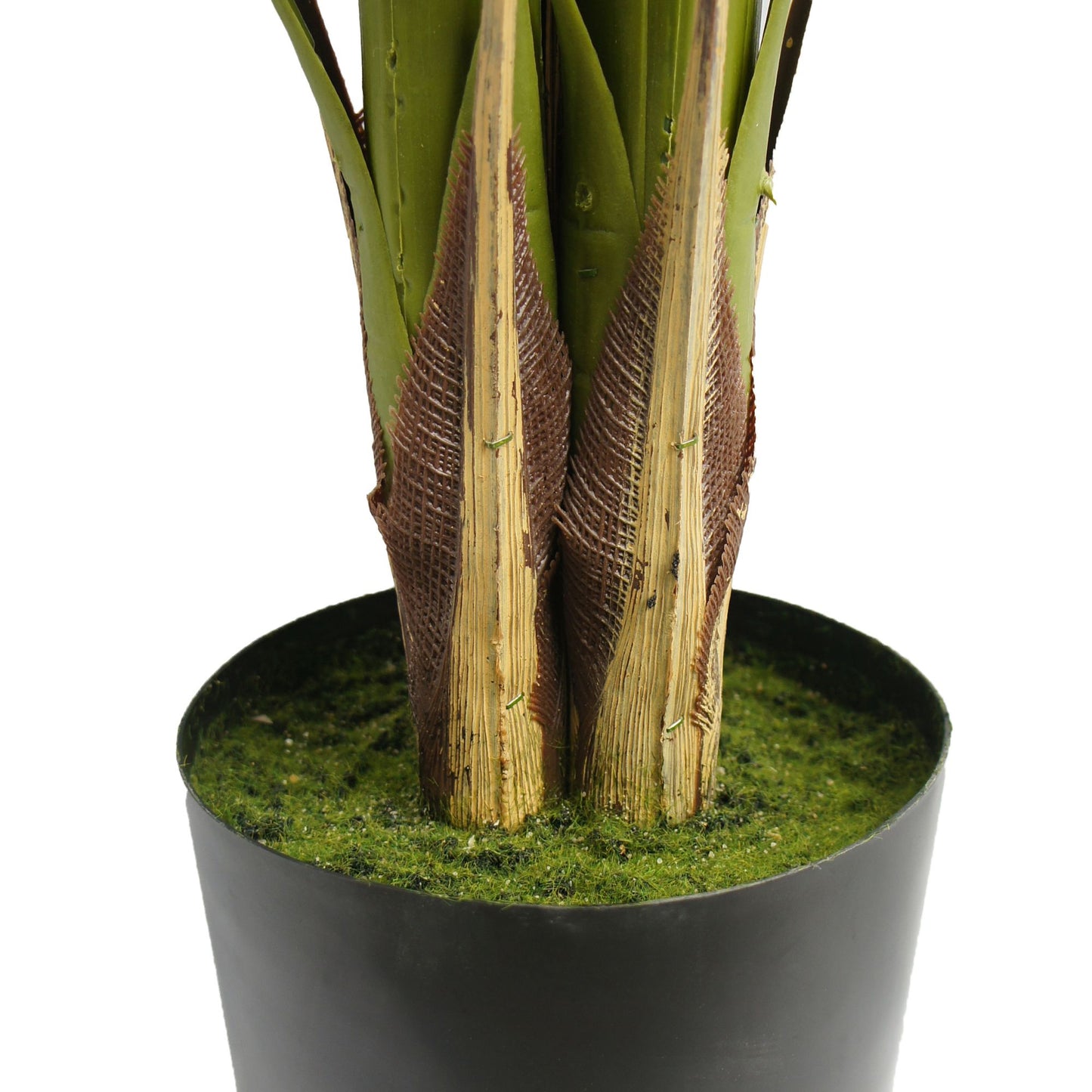 Base of a 51 inch artificial palm tree with realistic textured trunk and green moss lining
