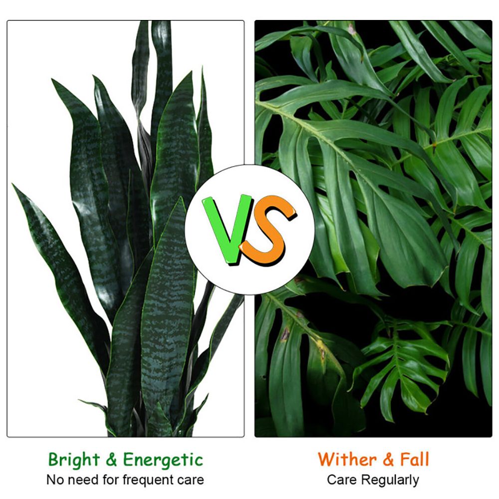 Comparison of artificial snake plant decor showing vibrant green leaves versus regular plant maintenance