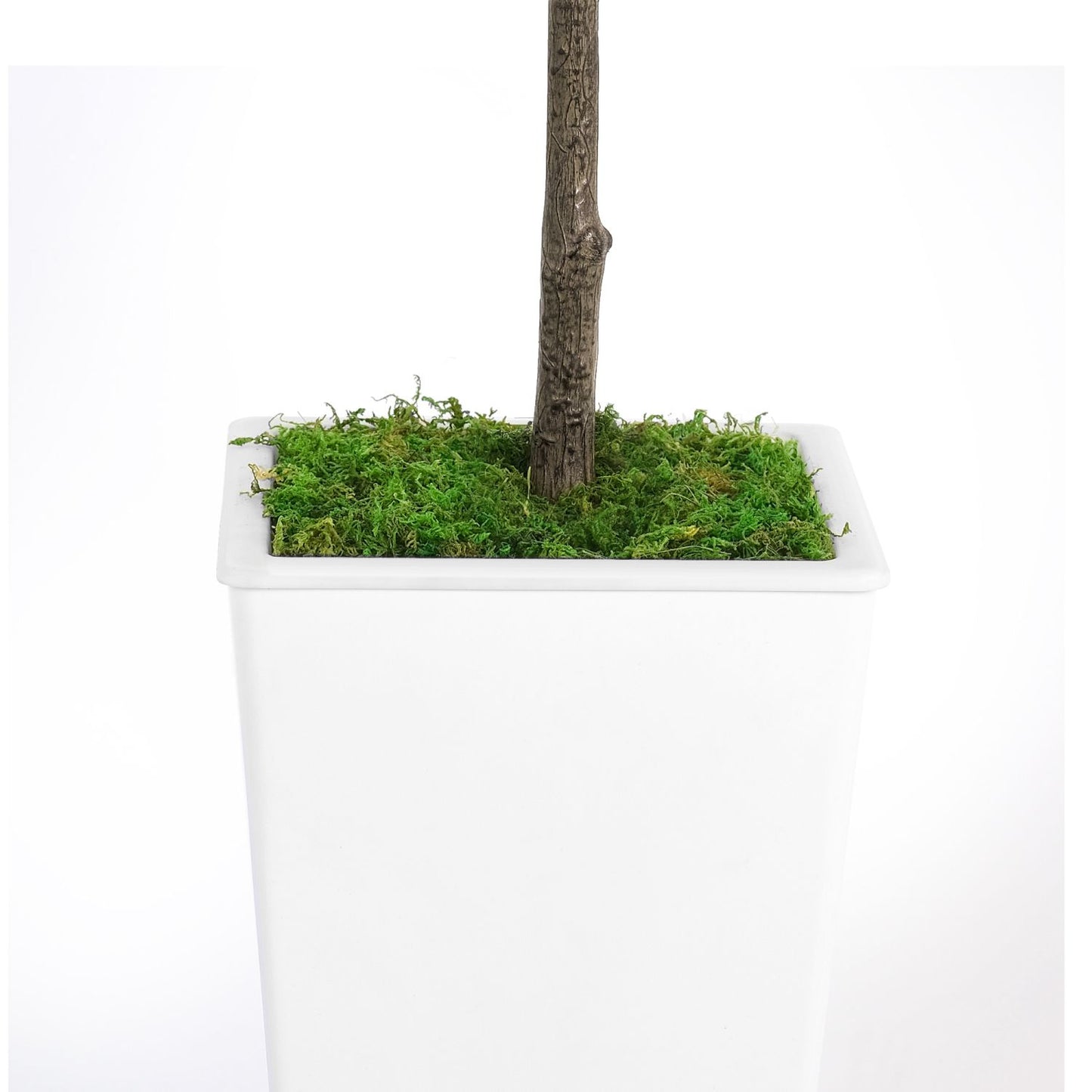 Decorative faux olive tree in a sleek white planter with green moss for home decor.