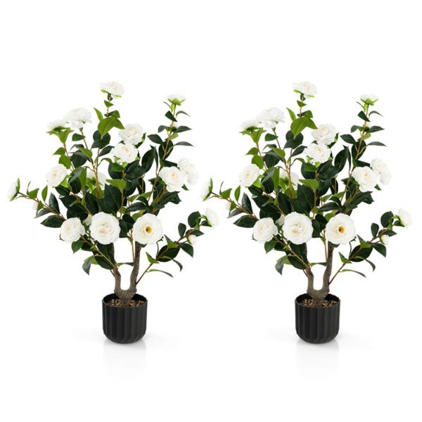 Set of two faux camellia trees in decorative pots with lush green leaves and white flowers