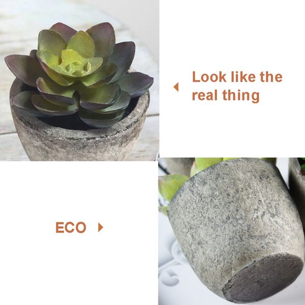 Artificial succulent plants set in eco-friendly stone pots that look like the real thing