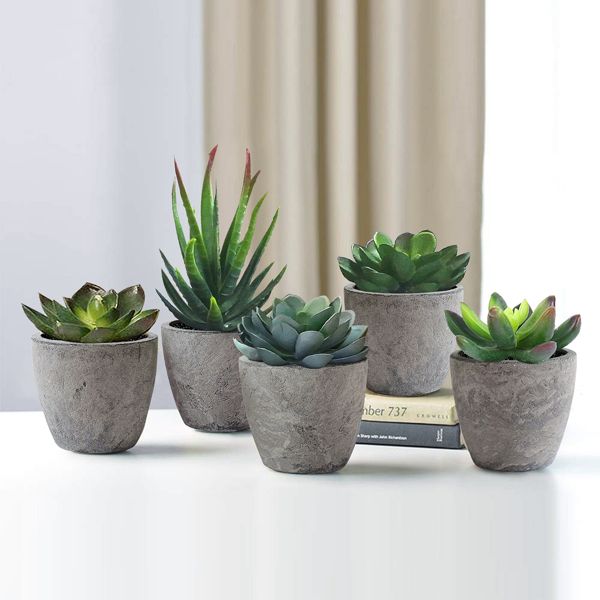 Artificial succulent plants set with five green realistic succulents in gray stone pots on white surface