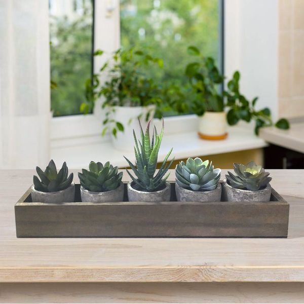 Artificial succulent plants set with five realistic green succulents in gray pots on wooden tray