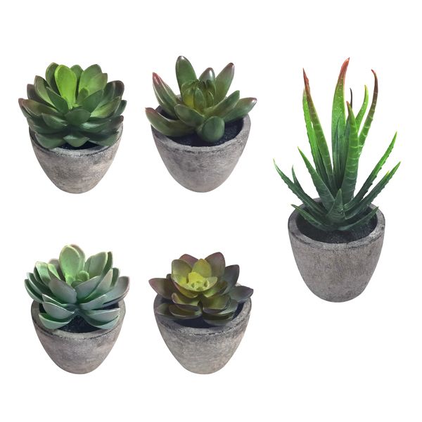 FauxMart.com artificial succulent plants set with five realistic green succulents in gray pots