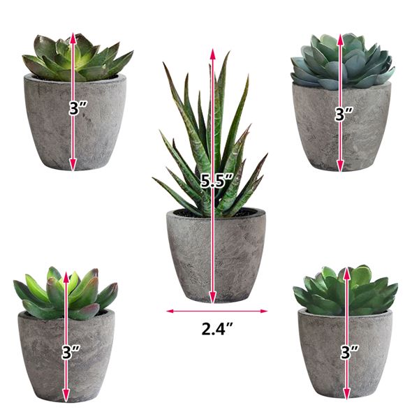 Artificial succulent plants set with five realistic green plants in gray pots measuring 3 to 5.5 inches tall