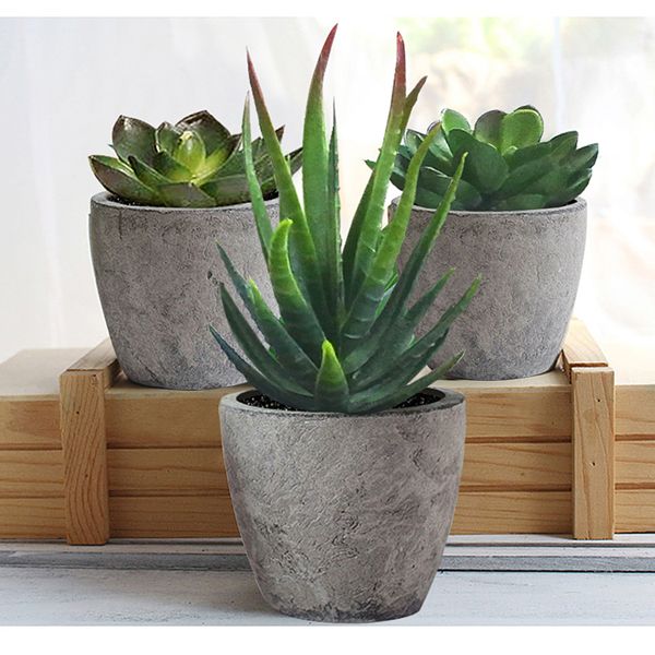 Artificial succulent plants set with three green faux succulents in gray pots on wooden stand