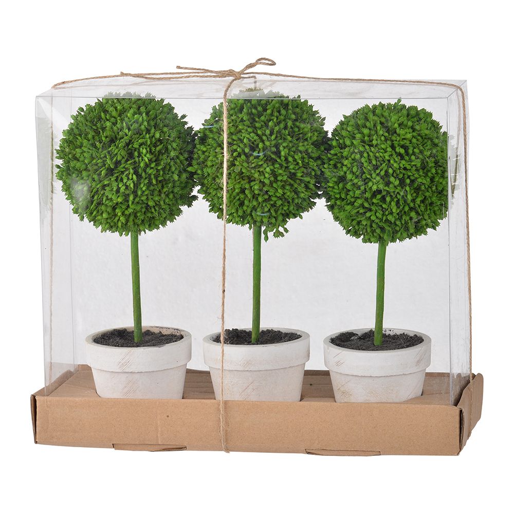 Mini faux topiary set with three green round artificial plants in white pots packaged in clear box