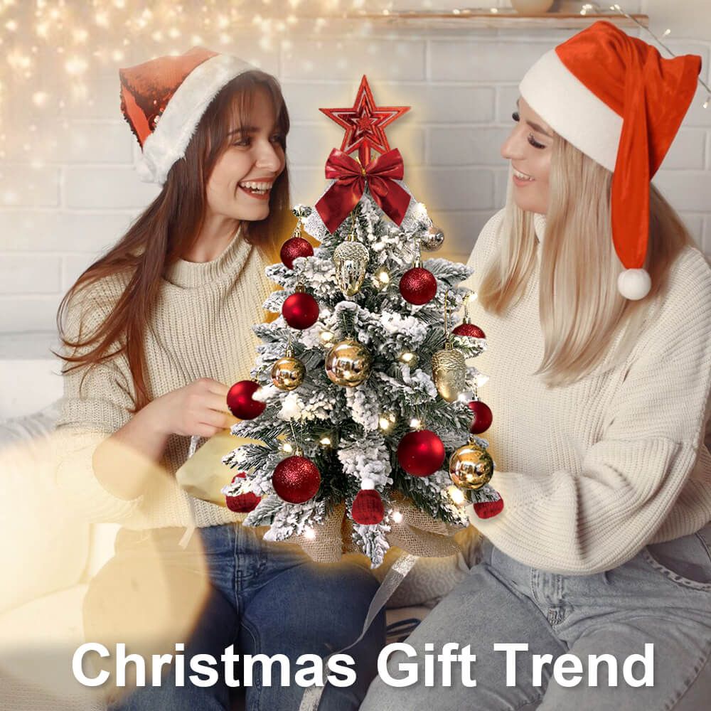 Two women wearing Santa hats holding a mini tabletop Christmas tree with lights and red and gold ornaments