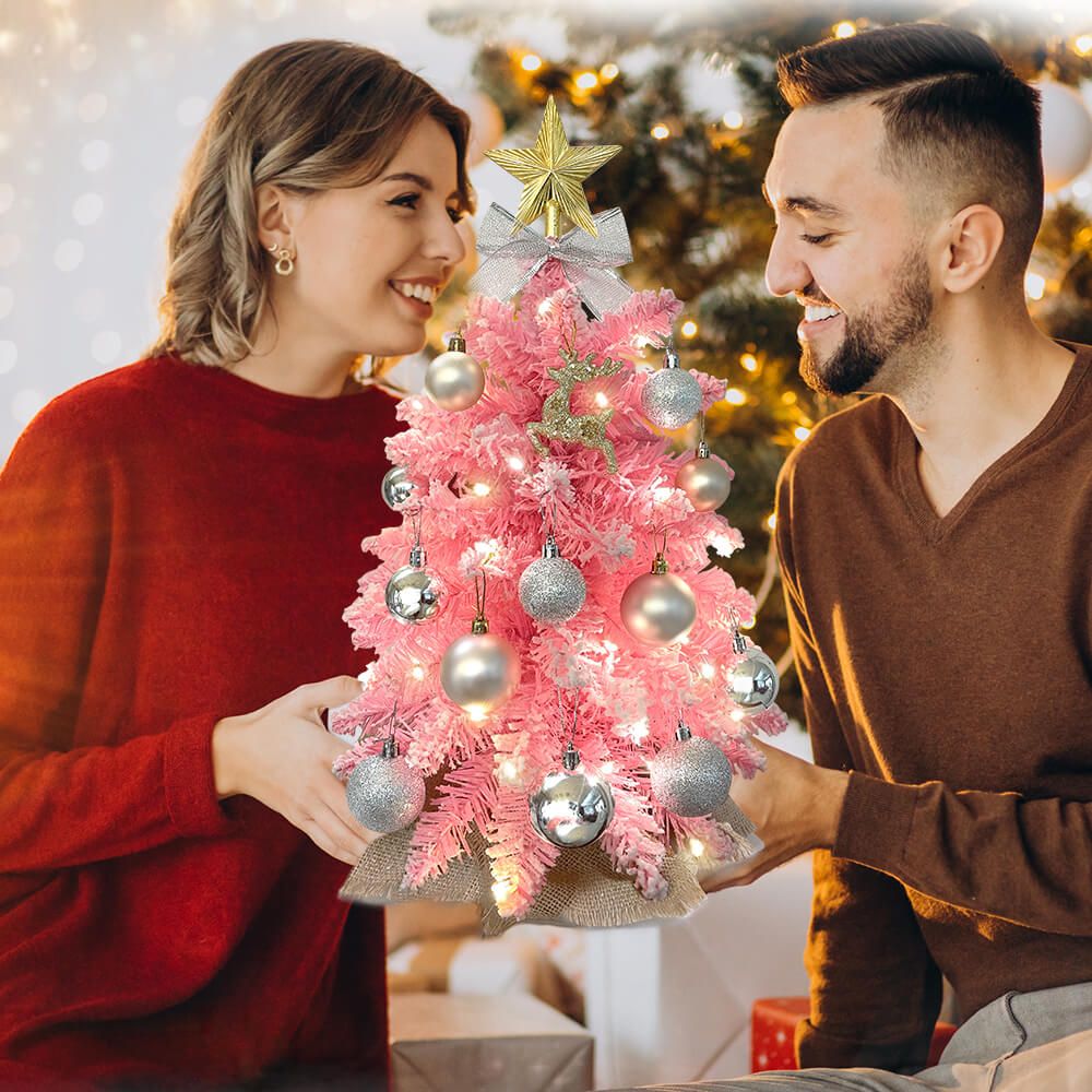 Couple holding a pink small Xmas tree for office desk decorated with silver ornaments and lights
