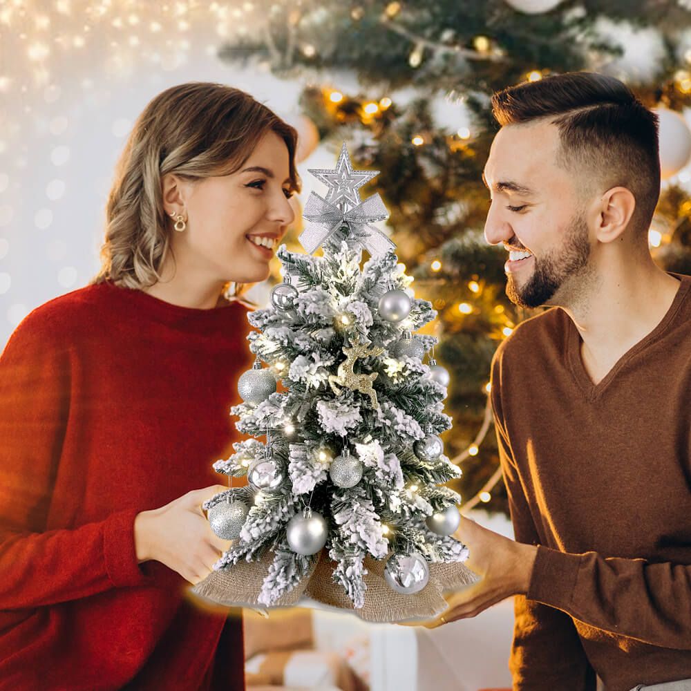 Couple holding a small Xmas tree for office desk decorated with silver ornaments and lights