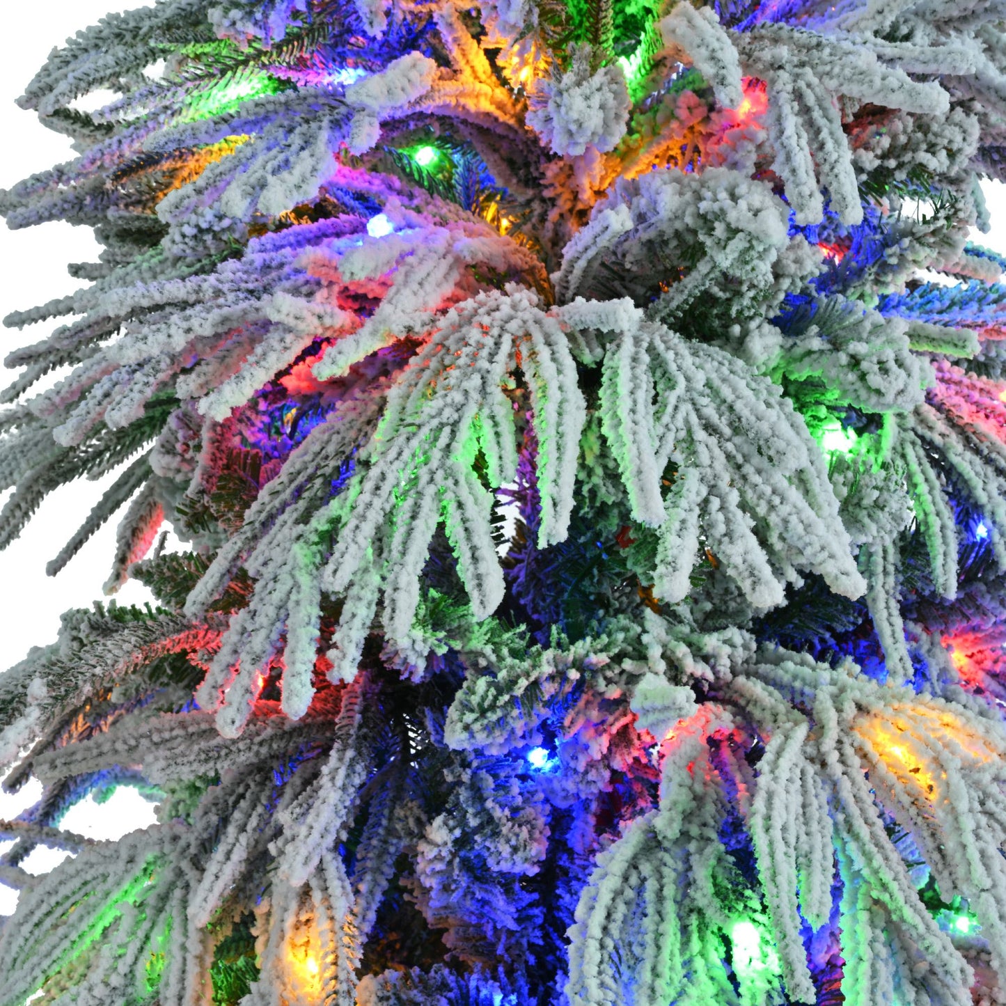 Close-up of FauxMart.com pre-lit snow flocked Christmas tree set with colorful LED lights on snowy branches