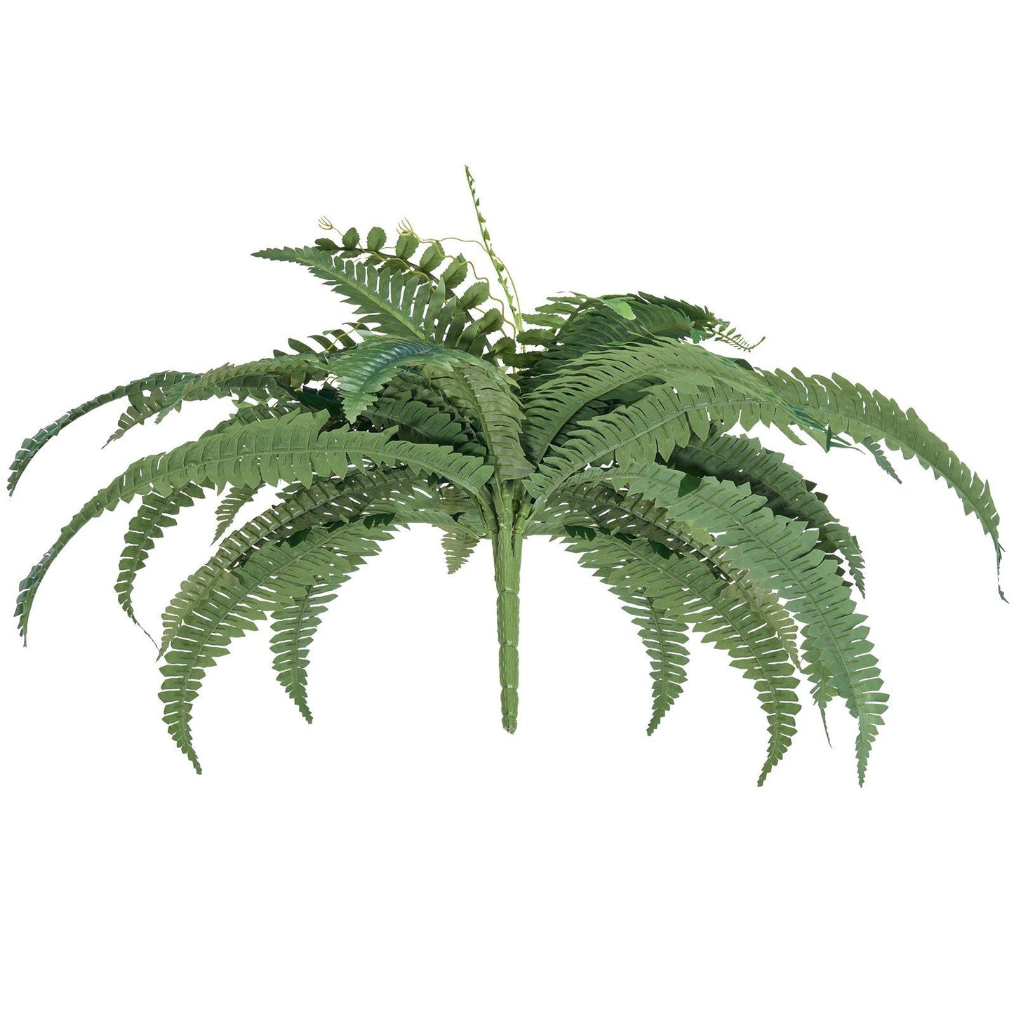 Lush green artificial Boston fern set with detailed leaves for home or office decor