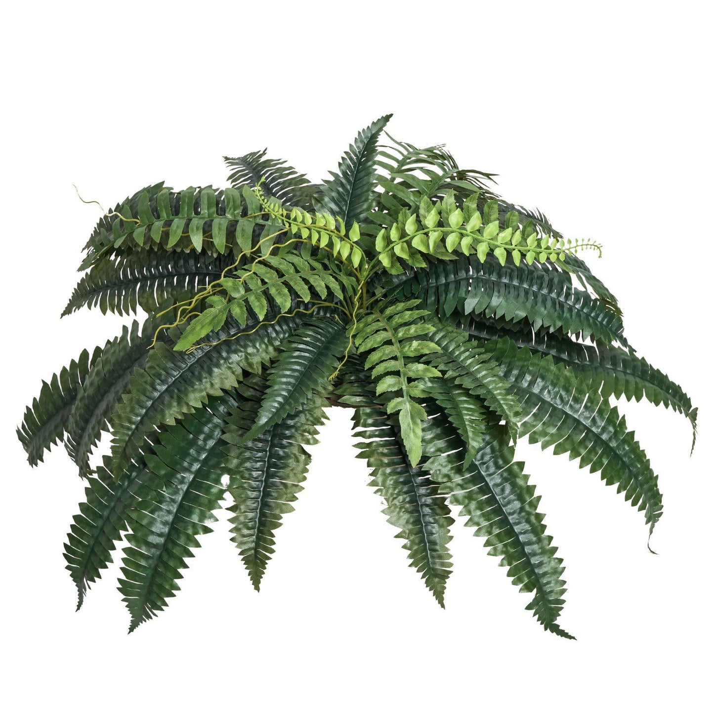 Lush artificial Boston fern set with vibrant green leaves perfect for home or office decor