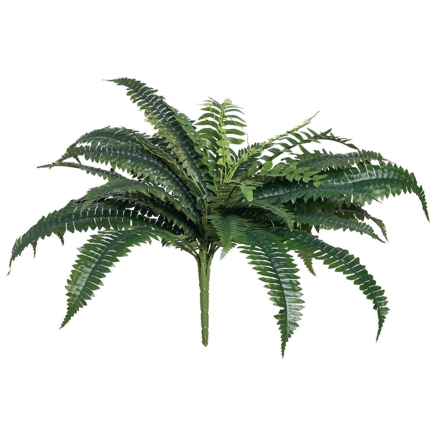Artificial Boston fern set with realistic green foliage and detailed leaf texture by FauxMart.com