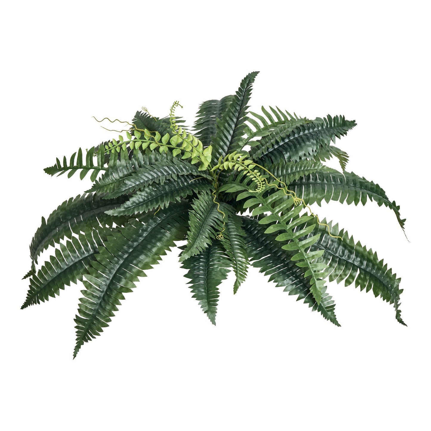 Artificial Boston ferns set with lush green leaves for realistic home and office decor