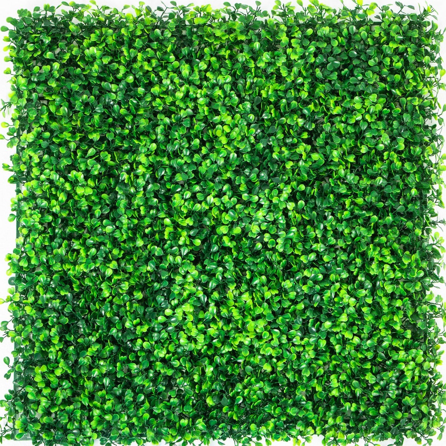 FauxMart.com artificial boxwood hedge panels with dense green leaves for wall decoration