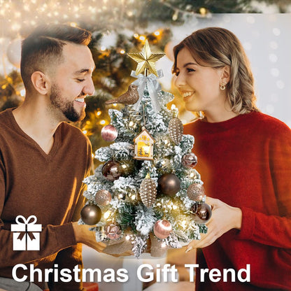 Couple holding 22 inch artificial Christmas tree silver decorated with ornaments and star topper