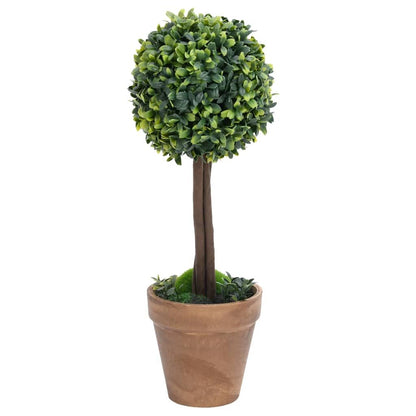 Artificial boxwood plants in a terracotta pot for home or office decor