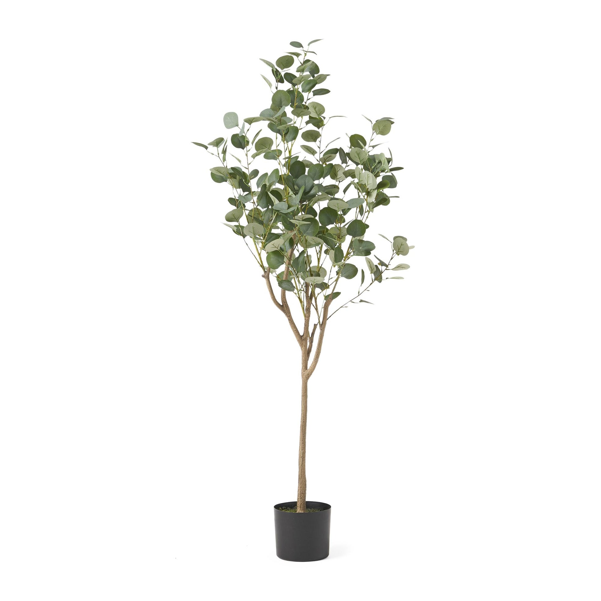 Artificial eucalyptus tree 59 inch with realistic leaves in a black pot for home decor