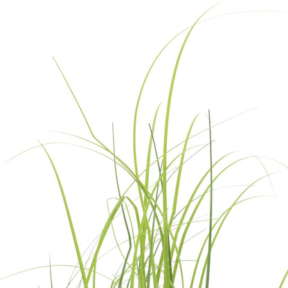 Close-up of green artificial grass plant decor with long slender leaves on white background