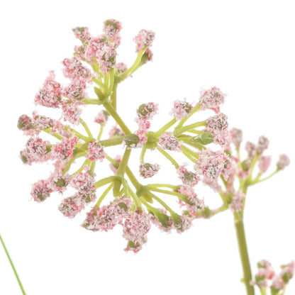 Close-up of artificial grass plant with flowers featuring delicate pink blooms and green stems