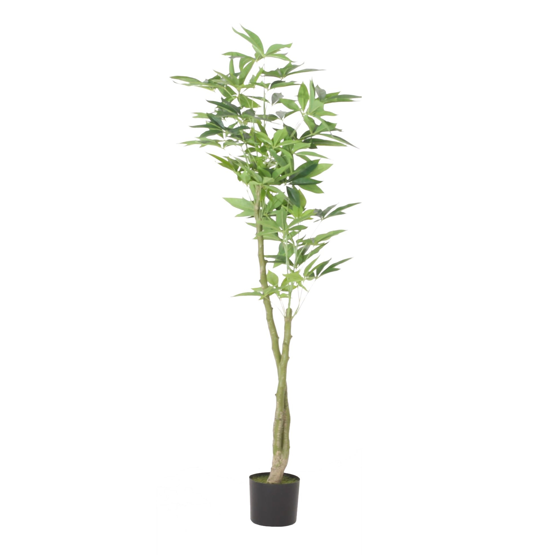 Tall artificial money tree decor in a black pot, perfect for home or office spaces