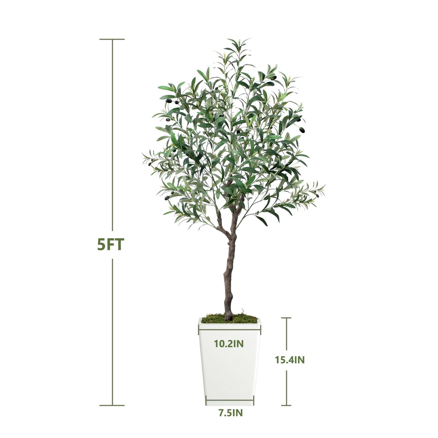 Lifelike artificial olive tree 5ft in a modern pot, perfect for home decor or office styling