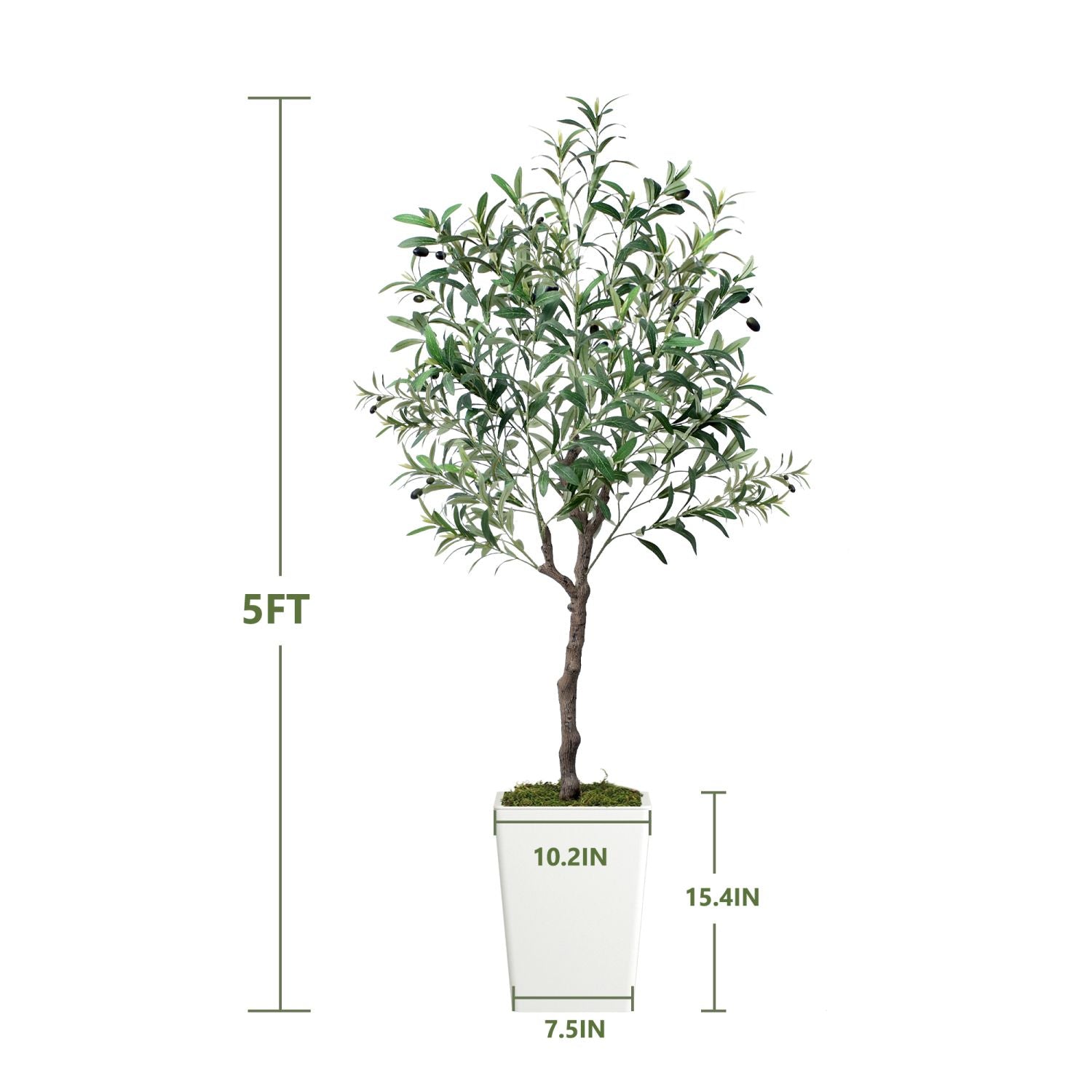 Lifelike artificial olive tree 5ft in a modern pot, perfect for home decor or office styling