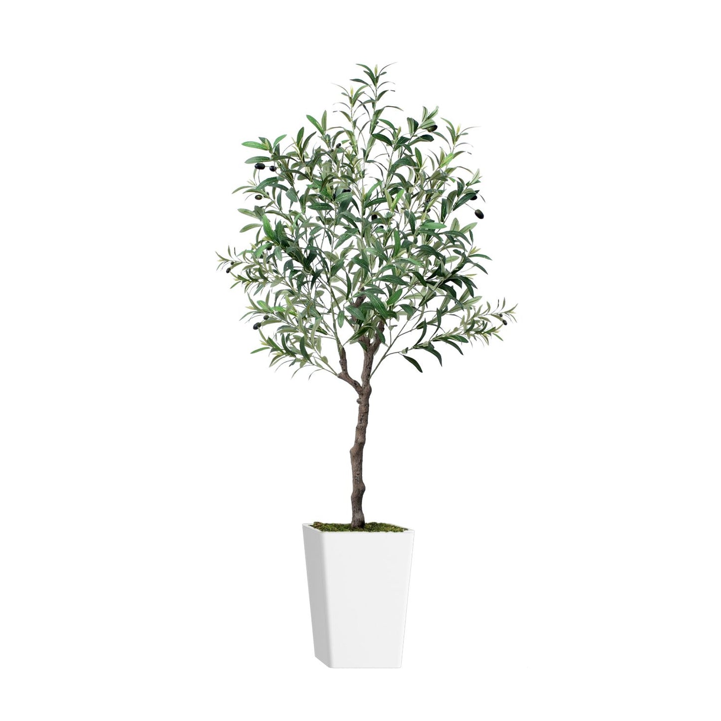 Artificial olive tree 5ft in a white pot, perfect for enhancing home decor with a natural touch