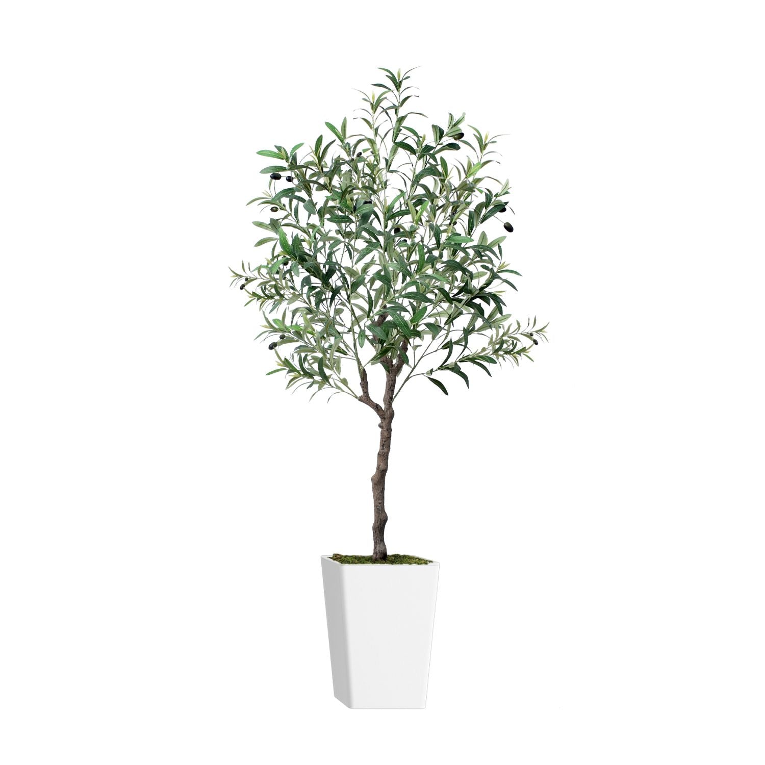 Artificial olive tree 5ft in a white pot, perfect for enhancing home decor with a natural touch