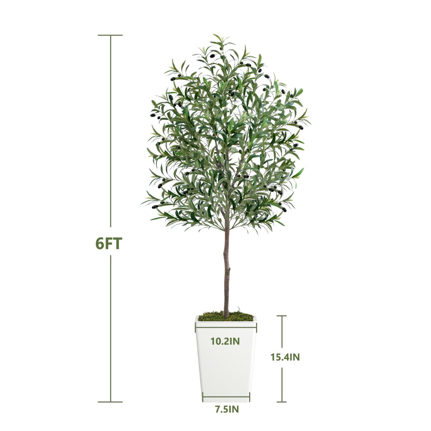 Elegant artificial olive tree 6ft in a stylish white planter, perfect for home decor