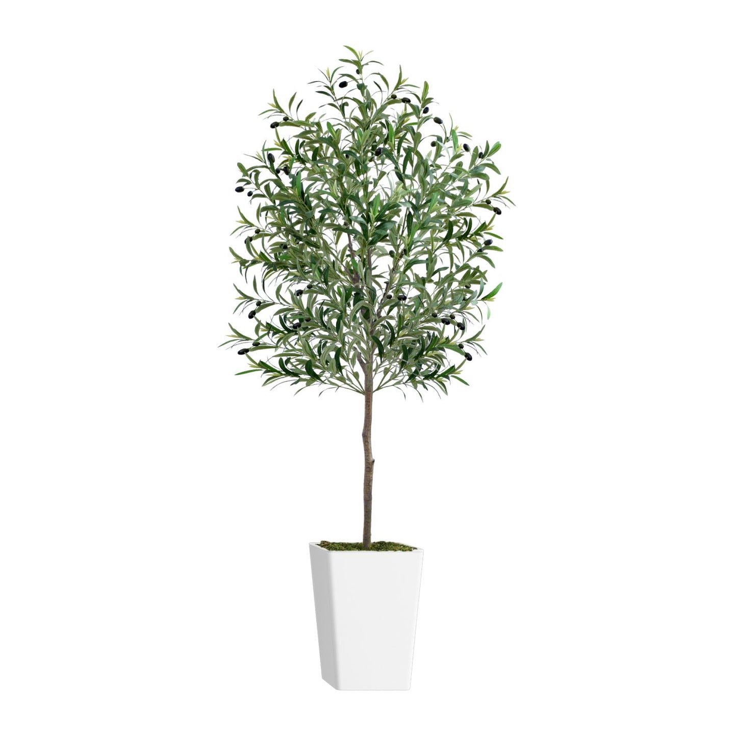 Artificial olive tree 6ft in a modern white planter, adding a touch of greenery to any space