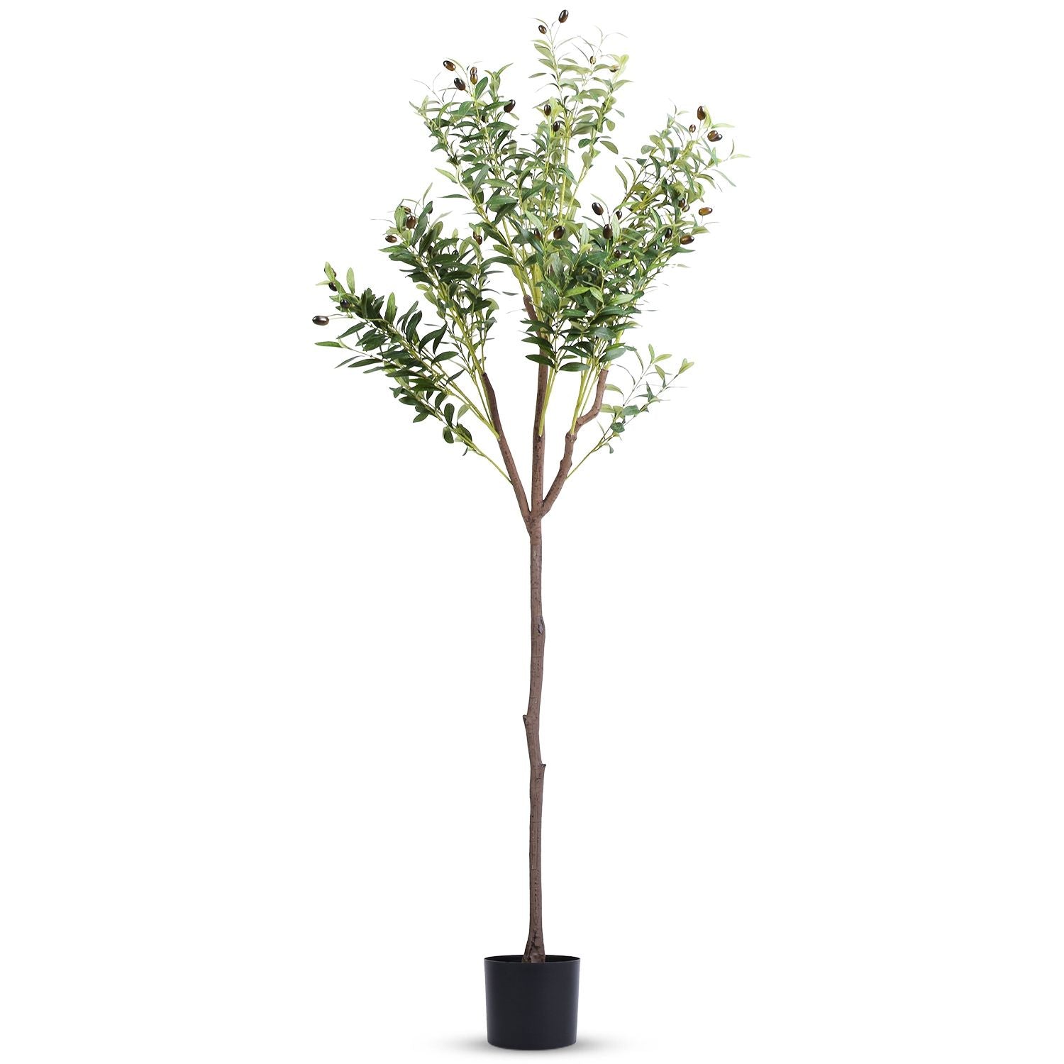 Artificial olive tree for home decor with realistic leaves and olives in a black pot