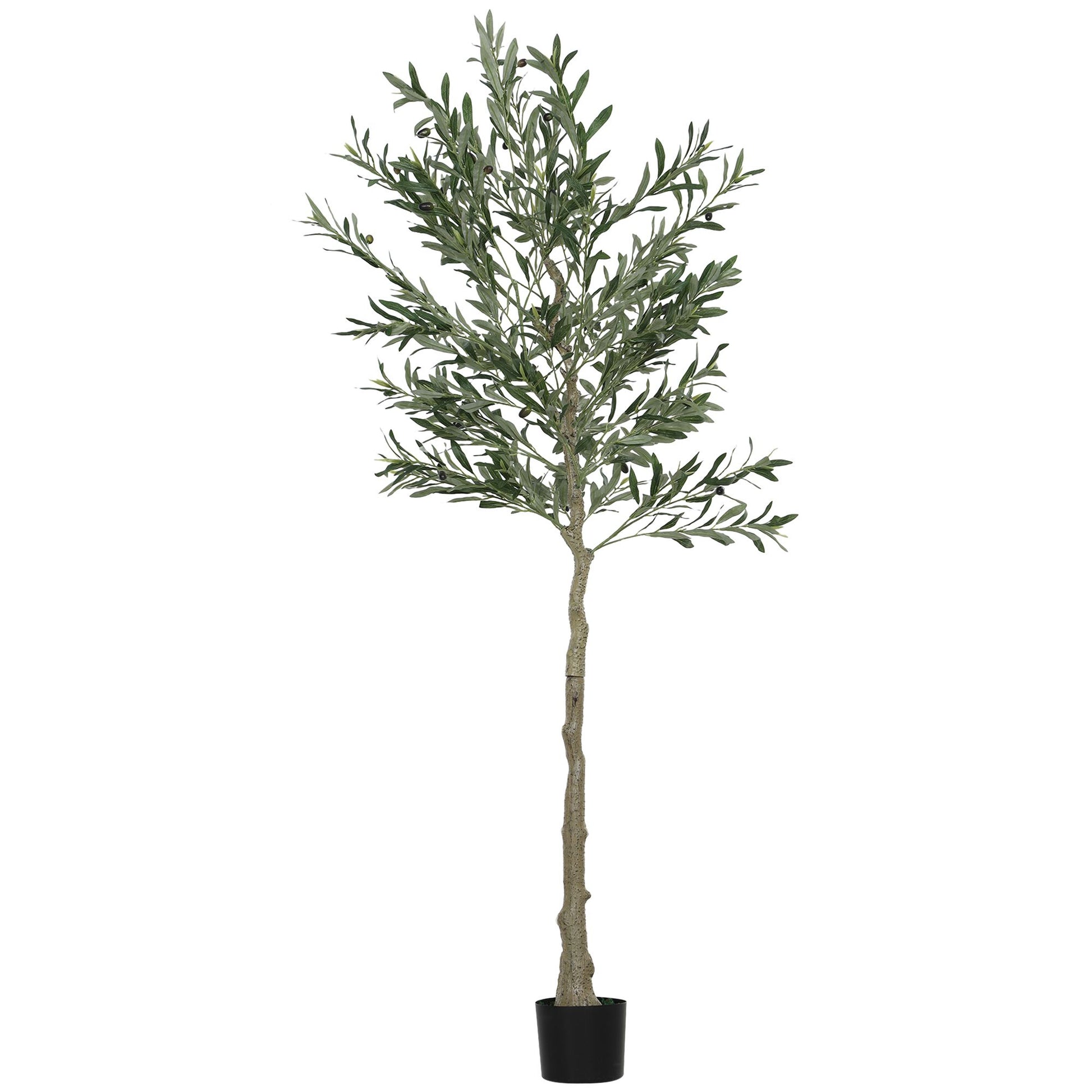 Artificial olive tree indoor with realistic green leaves and slender trunk in a black pot