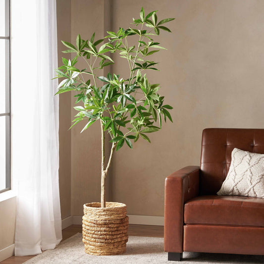 Artificial pachira money tree in woven basket next to brown leather sofa in bright living room