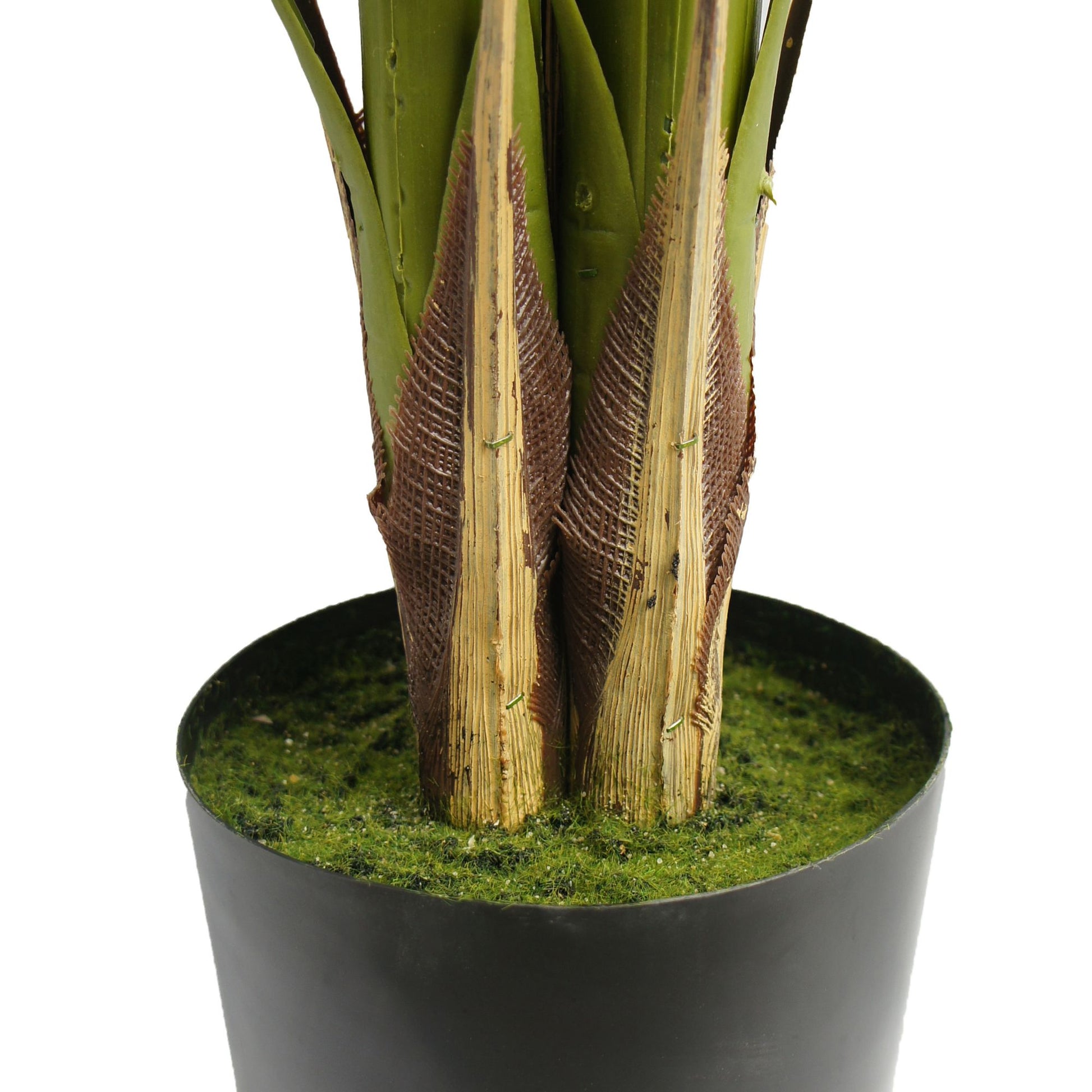 Base of a 51 inch artificial palm tree with realistic textured trunk and green moss lining