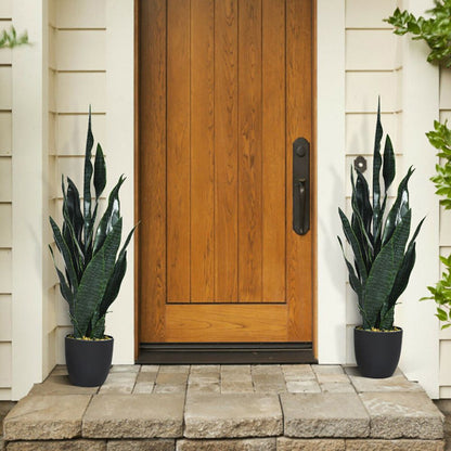 Set of artificial snake plant decor in stylish black pots for enhancing home entrance aesthetics