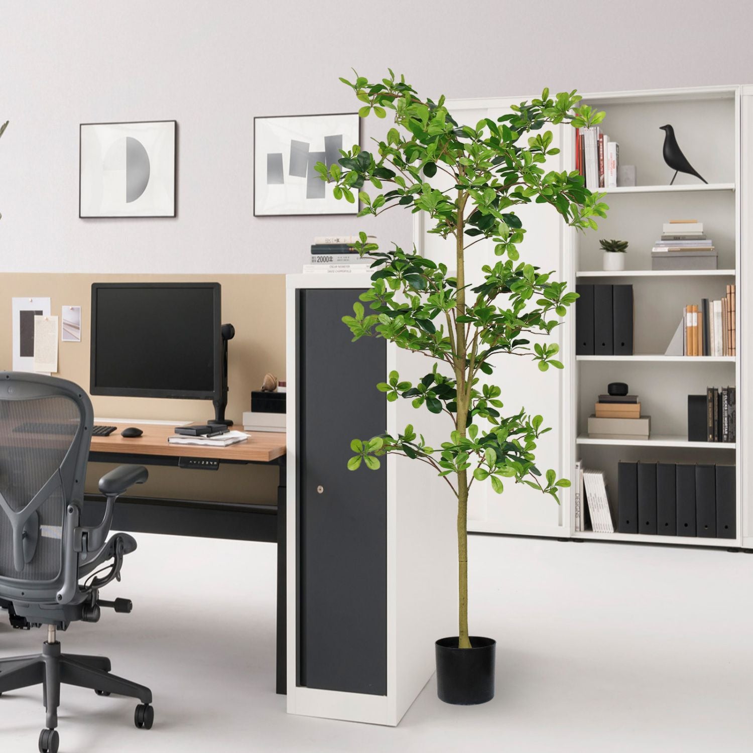 Artificial tung tree plant in a modern office setting beside a desk and bookshelf
