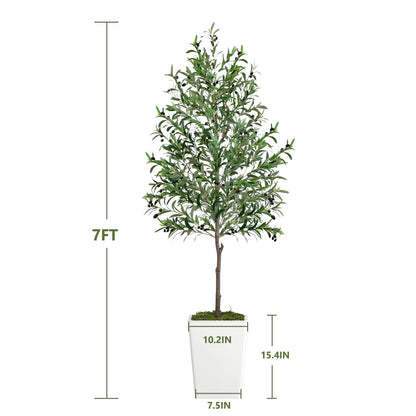 7FT decorative faux olive tree in white pot, perfect for home decor and enhancing indoor spaces
