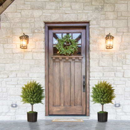 Two green indoor outdoor fake plants in black pots flanking a wooden door with a wreath and wall lanterns