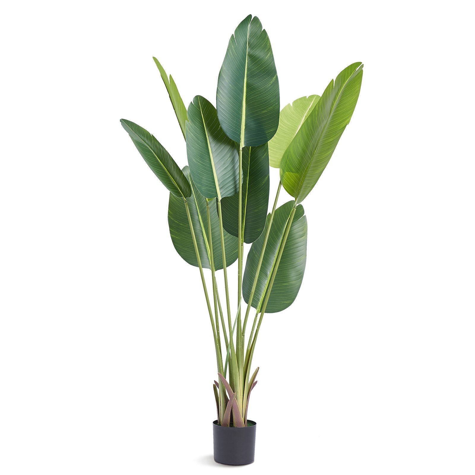 Tall artificial birds of paradise tree with large green leaves in a black pot